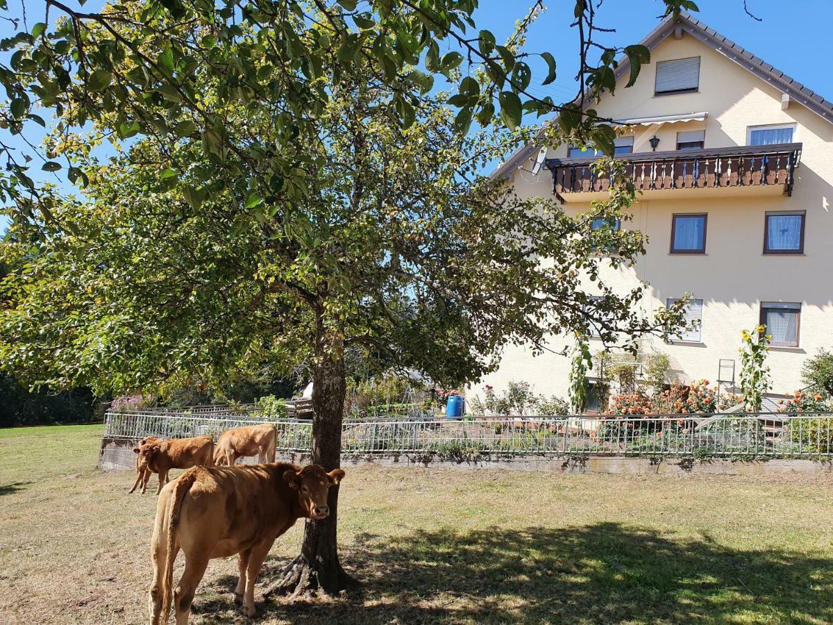 Chickenhill Blackforest, Ferienwohnung Großhans Bad Wildbad Exterior foto